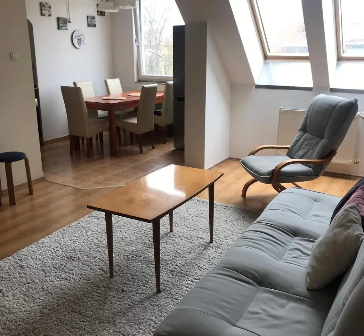 Merion Debrecen Magyarország